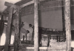 Bau der Planetariumskuppel auf der Flinzstraße. Diese diente als Grundlage für die Installation des Zeiss-Kleinplanetariums (ZKP1).